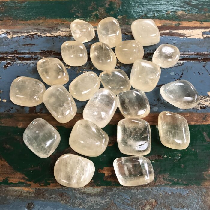 Champagne Calciet (Geel Gouden Calciet)