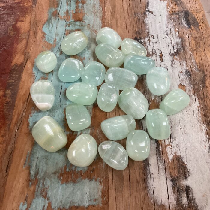 Pistache Calciet - Afbeelding 3