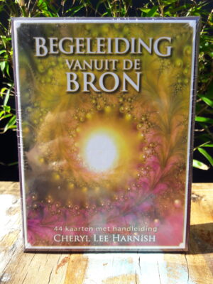 Begeleiding vanuit de Bron kaarten