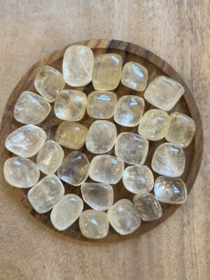 Champagne Calciet / Gele Calciet