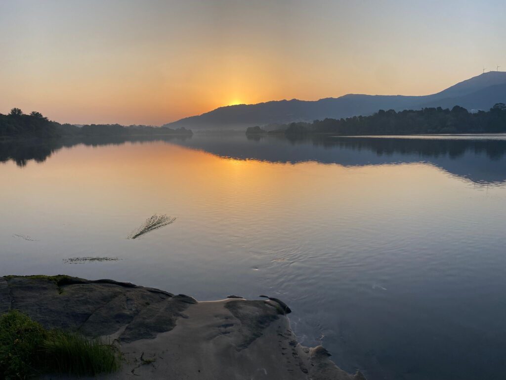 cdc4b1c5-9176-4538-990d-80fd98d3ff6b