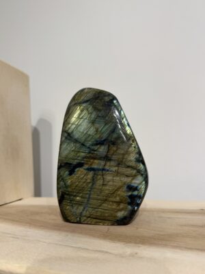 Labradoriet geslepen staand