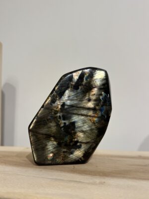 Labradoriet geslepen staand