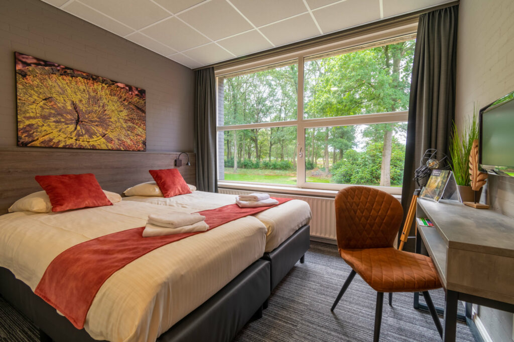 696e34e7d61df1692887928f_Nieuw-Allardsoog-Bakkeveen-hotelkamer